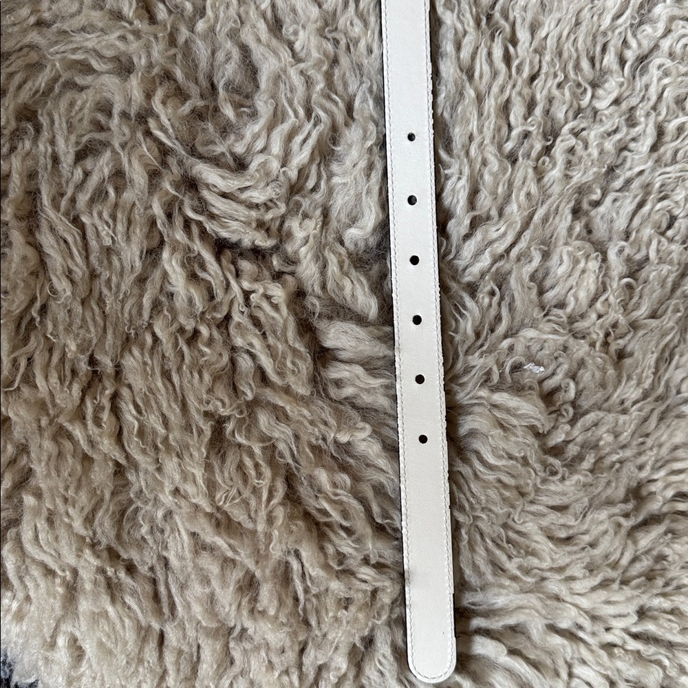 GUCCI GG Marmont reversible thin belt

Box, Dust bag, Receipt & both belt loops - Picture 6 of 9